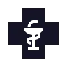 Promotes Healing of Wounds